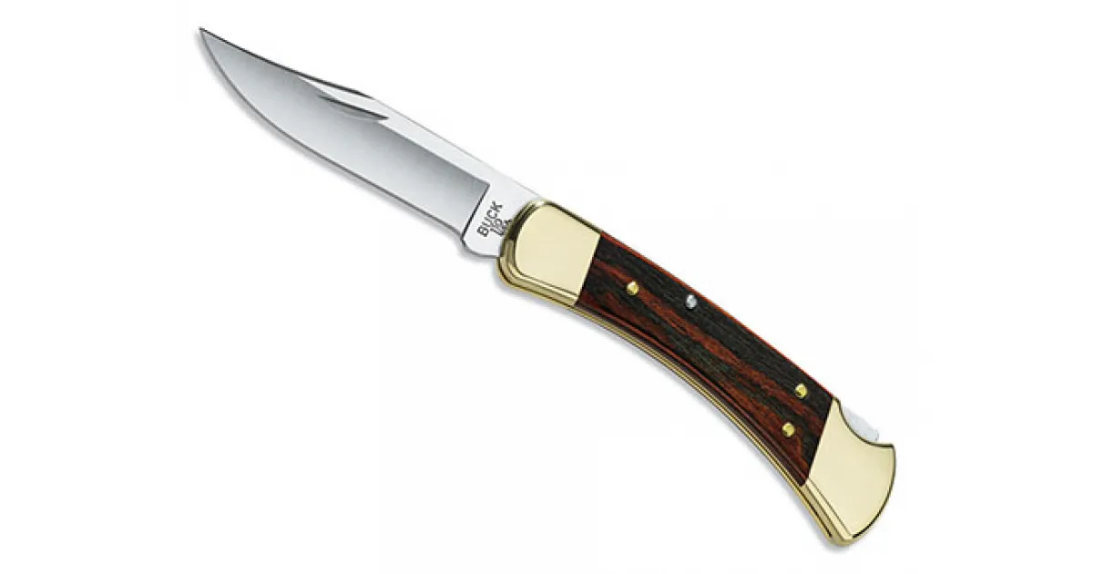BUCK 110 FOLDING HUNTER