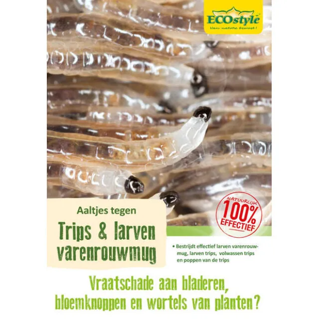 ECOSTYLE AALTJES (F) BESTRIJDINGSMIDDEL TEGEN VARENROUWMUG LARVEN  50M²