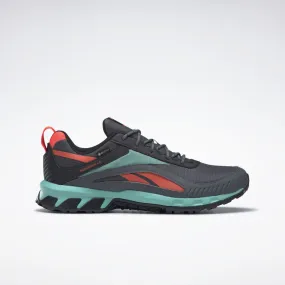 Reebok Ridgerider 6 Gore-Tex Schoenen Pure Grey 7 / Semi Classic Teal / Core Black